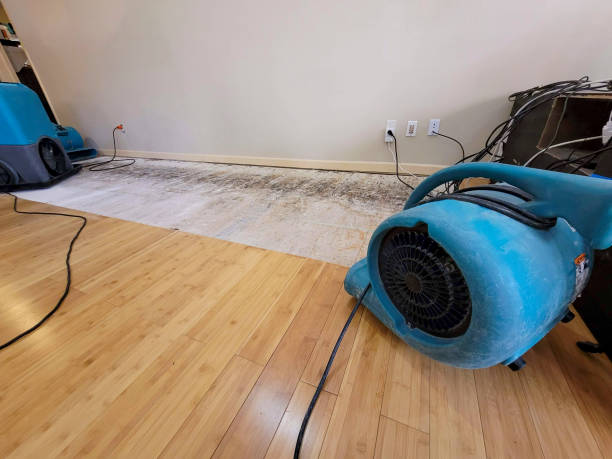 Professional Water Damage Repair technician working in La Jolla, CA